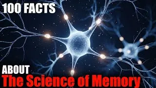 Thumbnail: The Most Relaxing Facts About The Science of Memory To Fall Asleep To