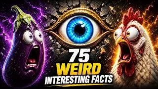 Thumbnail: 75 Weird Interesting Facts