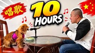 Thumbnail: 10 Hours of Chinese Dog Sings With Man