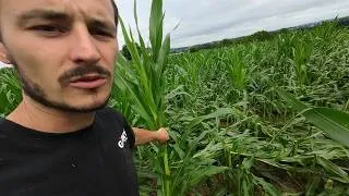 Thumbnail: Power Outage & Major Crop Damage