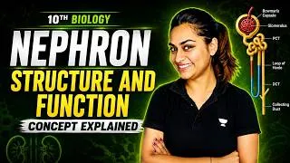 Thumbnail: Nephron in 15 Minutes 💥 | Excretory System One Shot | Class 10 Science CBSE 2026-27 | Shivangi Ma'am