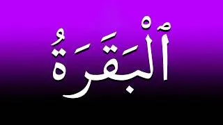 Thumbnail: Al-Baqarah (With Translation)
