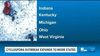 Thumbnail: Latest on cyclospora outbreak