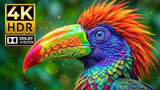 Thumbnail: Incredible Wildlife in 4K 120FPS | Amazing Wild Animals | Dolby Vision (8K/4K TV)