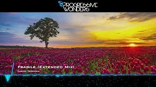 Thumbnail: Yusuke Teranishi - Fragile (Extended Mix) [Music Video] [Emergent Shores]
