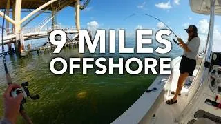 Thumbnail: When the surf is flat FISH OFFSHORE | Catch and Cook | Texas Offshore Fishing
