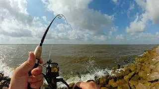 Thumbnail: Water was brown, but FISH were in town | Texas Inshore Fishing