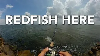 Thumbnail: Redfish Catch and Cook | Inshore Saltwater Fishing