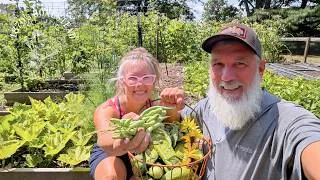 Thumbnail: Growing Food One Pickle at a Time | A Comeback Story