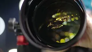 Thumbnail: Daytona 24 2025 - Through the lens