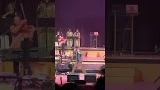 Thumbnail: Pulp - Got to Have Love (inc Demo Version) (Live) - Royal Festival Hall - 18-07-2026