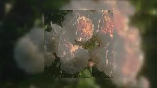 Thumbnail: I don't want to set the world one fire - The ink spot (sped up)