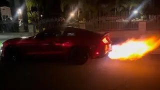 Thumbnail: MUSTANG GT SHOOTING MASSIVE FLAMES!🔥 #ford #mustang #foryou #trending