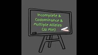 Thumbnail: Incomplete Dominance & Codominance & Multiple Alleles (20 Min)