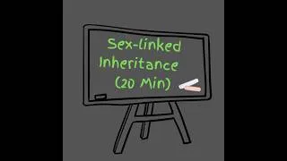 Thumbnail: Sex-linked Inheritance (20 Min)