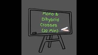 Thumbnail: Mono & Dihybrid Crosses (20 Min)