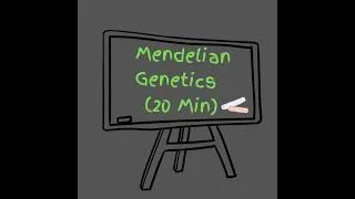 Thumbnail: Mendelian Genetics (20 Min)
