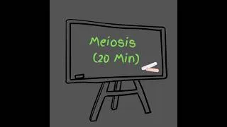 Thumbnail: Meiosis (20 Min)