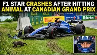 Thumbnail: Title: Bizarre F1 Crash! Alex Albon Wrecks Williams After Hitting Marmot at Canadian GP