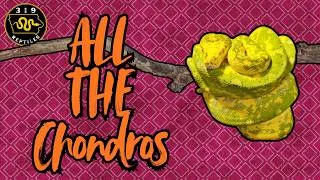 Thumbnail: All My Green Tree Pythons | Collection Showcase
