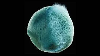 Thumbnail: Why you can't comb a hairy ball, and why we care