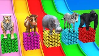 Thumbnail: Long Slide Game with Dinosaur Lion Cow Gorilla 3d Animal Game Funny 3d Animals