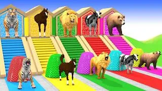 Thumbnail: Long Slide Game with Dinosaur Lion Cow Gorilla 3d Animal Game Funny 3d Animals