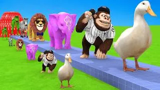 Thumbnail: Long Slide Game with Dinosaur Lion Cow Gorilla 3d Animal Game Funny 3d Animals