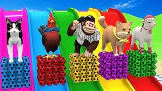 Thumbnail: Long Slide Game with Dinosaur Lion Cow Gorilla 3d Animal Game Funny 3d Animals