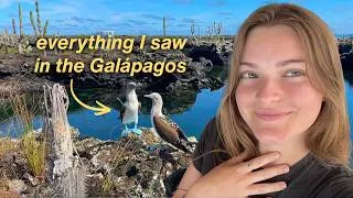 Thumbnail: Making my seventh grade science teacher jealous by going to the galapagos (vengeful)