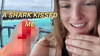 Thumbnail: playing with sea lions, getting bit by a shark and island hopping alone in the galapagos