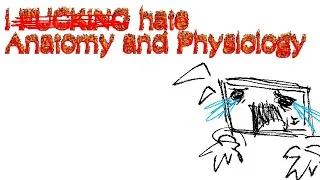 Thumbnail: college is a nightmare