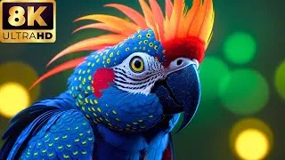 Thumbnail: Primal Earth in 16K HDR 120fps (Dolby Vision) – Untamed Wilderness