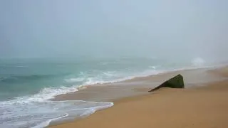 Thumbnail: Misty Coastline Ambience | 2 Hours of Waves for Focus & Study