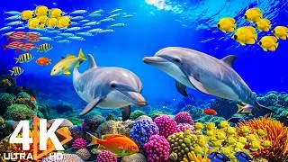 Thumbnail: 4K Deep Ocean Wonders – Marine Life & Sea Animals with Peaceful Sleep Music #14