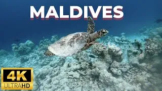 Thumbnail: Maldives Aerial Adventure: Must-See Views