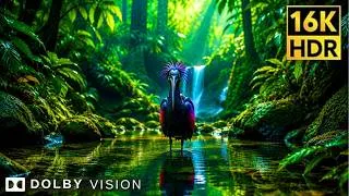 Thumbnail: Secrets of Animals 4K HDR 60FPS - Life in Earth's Most Remote Corners