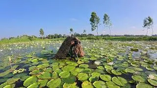 Thumbnail: নওগাতে এসে জল ময়ূরের ভিডিও করার জন্য বিলের পানিতে নেমে পড়লাম