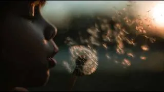 Thumbnail: Carpe Diem. A film by Mike Bennion, featuring Wall of Breath by Peter Gabriel.