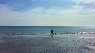 Thumbnail: Peter Gabriel - Washing of the Water (live) (Steven Askew video)