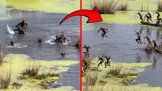Thumbnail: Real Footage of Man Interacting With Cryptids Nobody Can Explain