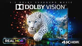 Thumbnail: This Is What REAL HDR Looks Like | 4K HDR RGB Oled TV Demo