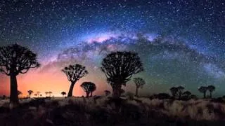 Thumbnail: Robert Plant - All The King's Horses