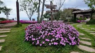 Thumbnail: Bao quanh bởi những đám mây và một thiên đường hoa lá, nơi này mang lại cảm giác thư thái khó tả