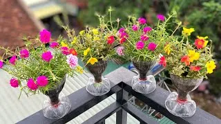 Thumbnail: Make your own beautiful planter from used plastic bottles