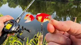 Thumbnail: It ATE the Tiny GOLDFISH Crankbait!!! (Kastking Kestrel Ultimate)