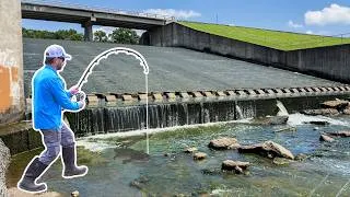 Thumbnail: I Caught a MASSIVE New PB Catfish!!! (My Most INSANE Catch Yet!)