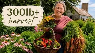 Thumbnail: We Harvested 300+ LBS of Food From Our Garden! | MASSIVE Summer Harvest