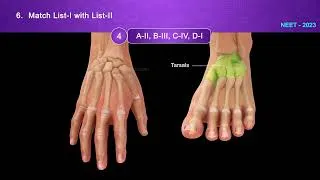 Thumbnail: NEET Prev Q&A_Chp_Locomotion and Movement Part 01 #neet #quiz
