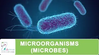 Thumbnail: MICROORGANISMS